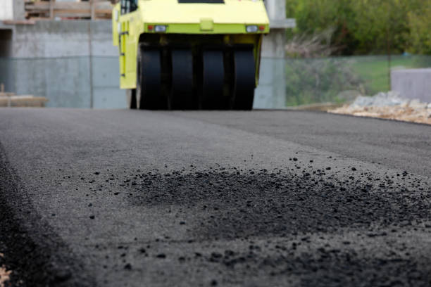 Best Custom Driveway Pavers  in Homestead, FL
